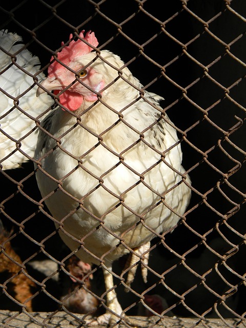 结尾不必要 结尾不必要