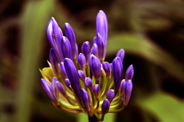 化和精神的 化和精神的