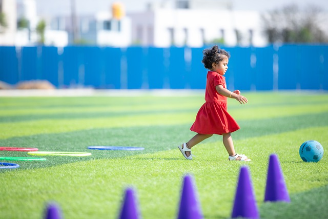 地提高了球 地提高了球