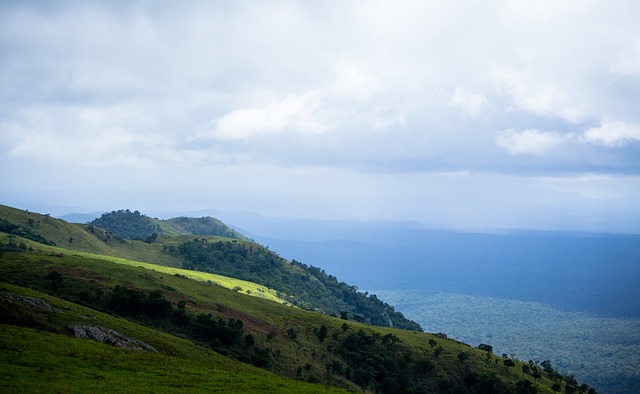 在一场激烈 在一场激烈