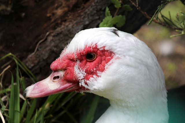 这也使得 这也使得